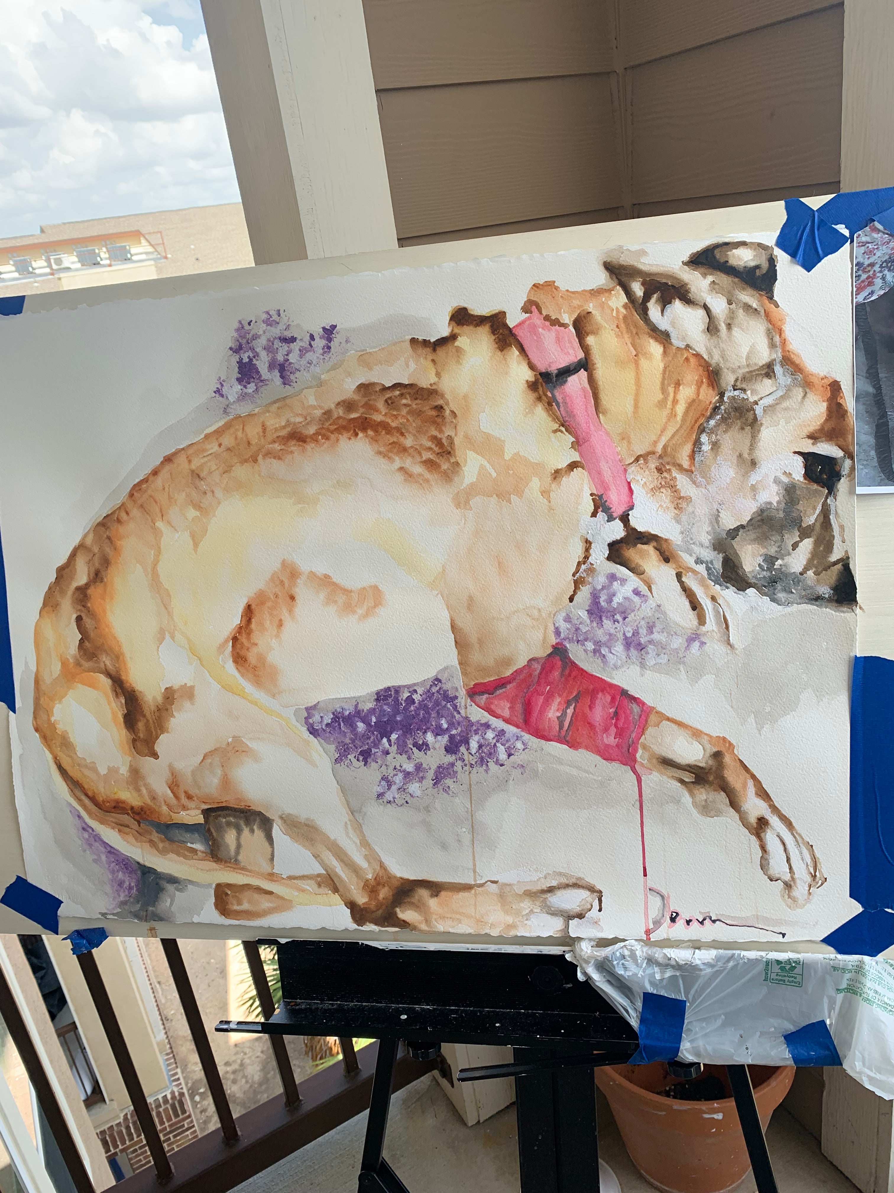 Vintage Pet Portraits