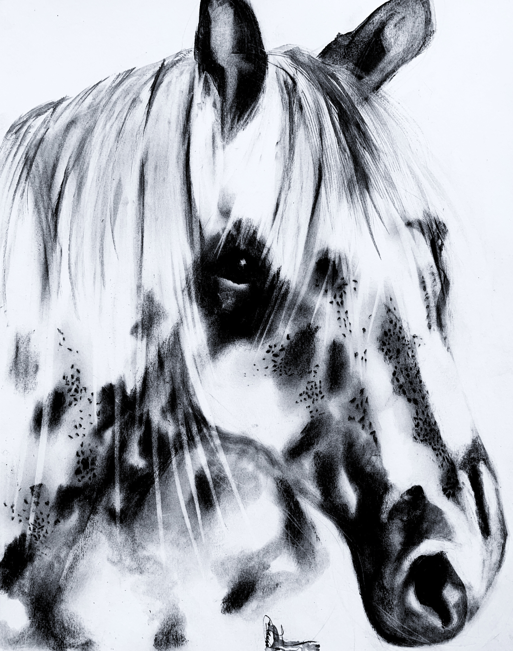 Appaloosa Le Faire Original Art
