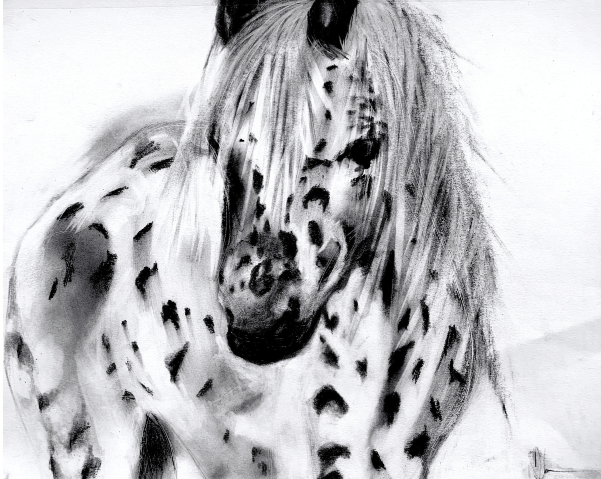 Appaloosa Le Faire Original Art